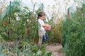 2010_08_07_cirque_ 024